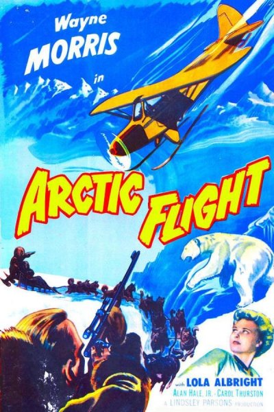 Arctic Flight