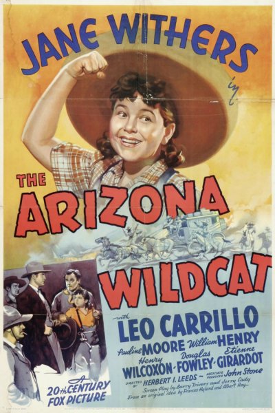 The Arizona Wildcat