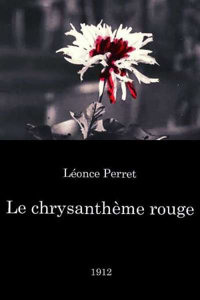 Le Chrysanthème Rouge