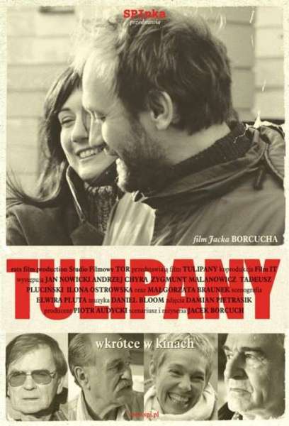 Tulipany