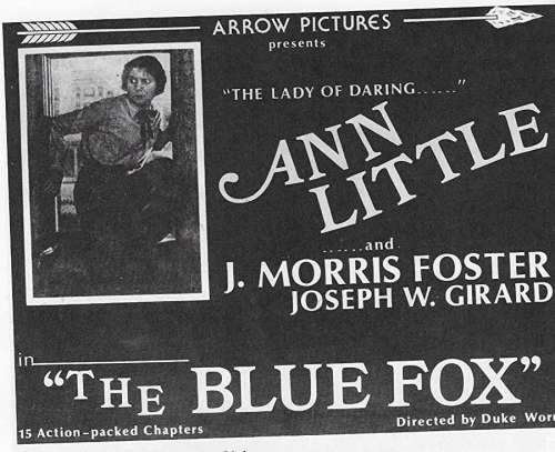 The Blue Fox