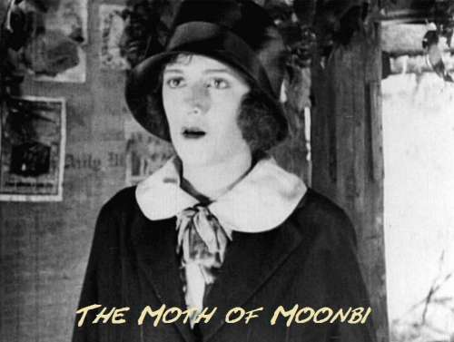 The Moth of Moonbi