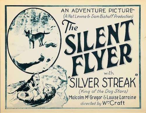 The Silent Flyer