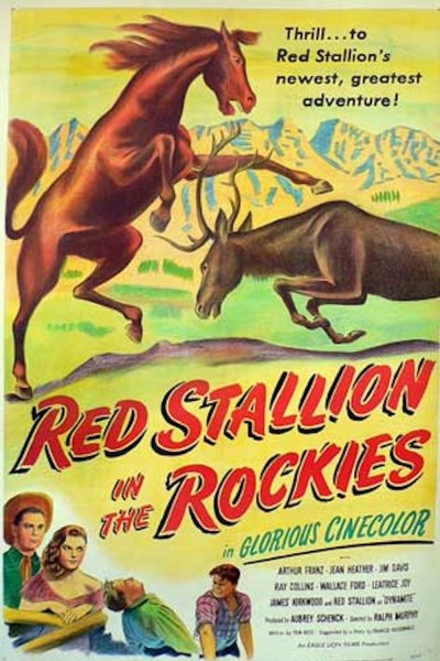 Red Stallion In The Rockies