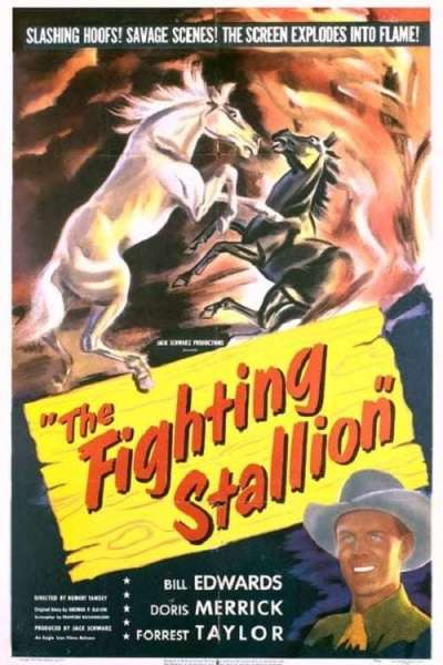 The Fighting Stallion