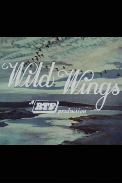 Wild Wings