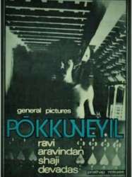 Pokkuyevil