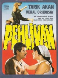 Pehlivan