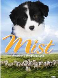 Mist: The Tale of a Sheepdog Puppy