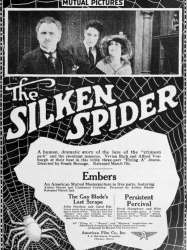 The Silken Spider