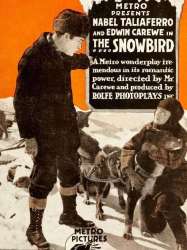 The Snowbird