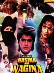 Hasina Aur Nagina