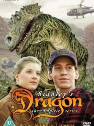 Stanley's Dragon