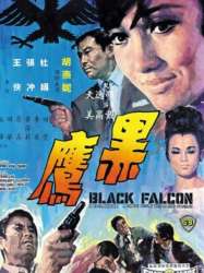 The Black Falcon