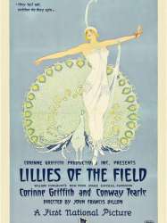 Lilies of the Field