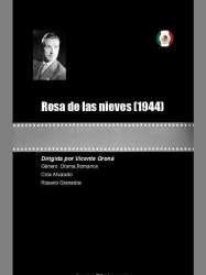 Rosa de las nieves