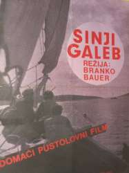 Sinji galeb