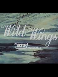 Wild Wings